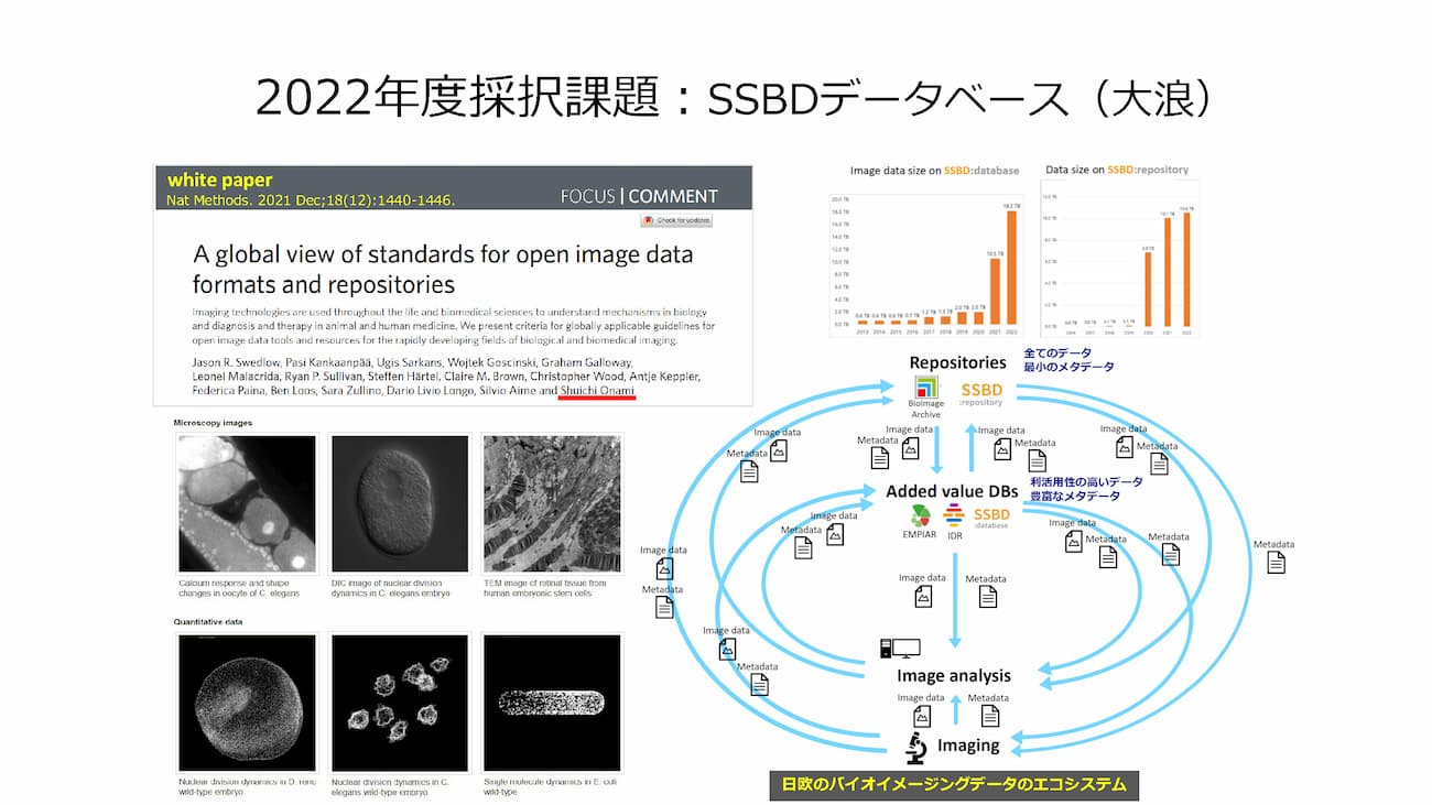 講演スライド3枚目。2022年度採択課題:SSBDデータべース(大浪)。4つの画像が掲載されている。(1) 2021年にNature Methodsに掲載されたホワイトペーパーの画面キャプチャ。(2) SSBDに掲載されている画像の例。 (3) SSBD:database、SSBD:repository の掲載データの経年変化グラフ。(4) SSBDデータベースのエコシステムの図説。レポジトリ、付加価値データベース、画像解析、画像撮影の4つの要素間でのデータのやりとりが記載されている。
