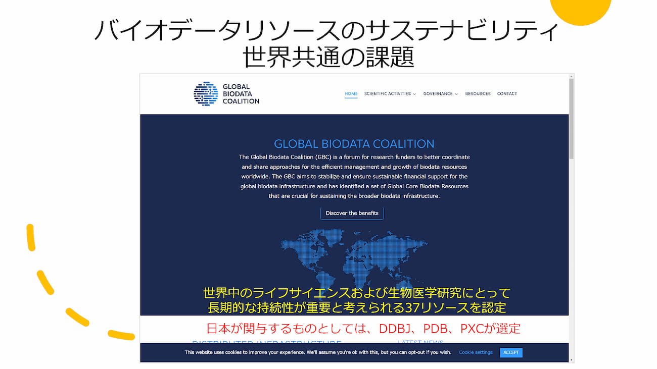 講演スライド12枚目。「バイオデータリソースのサステナビリティ。世界共通の課題」というタイトルで、GLOBAL  BIODATA  Coalitionのウェブサイトの画面キャプチャ画像が掲載されている。その画像の上に「世界中のライフサイエンスおよび生物医学研究にとって長期的な持続性が重要と考えられる37リソースを認定」「日本が関与するものとしては、DDBJ、PDB、PXCが選定」と書かれている。