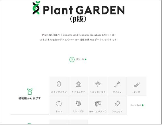 plant garden